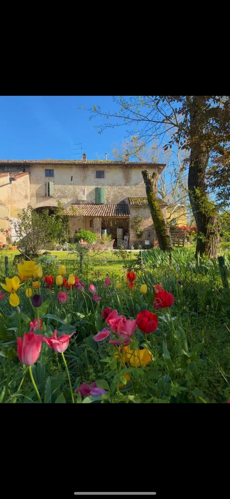 B&B Ostria Vento Medesano Exteriör bild